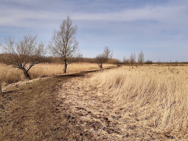 Natuurlijk Kollumeroord
