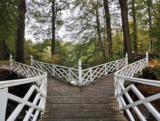 Bruggetje in het Veenkloosterbos