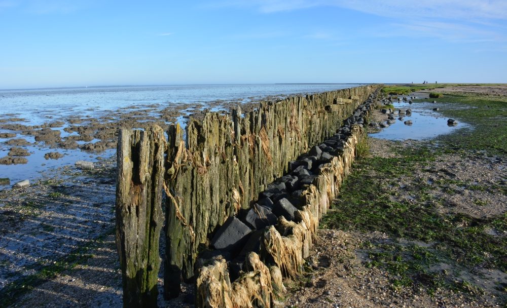 De pier het wad op