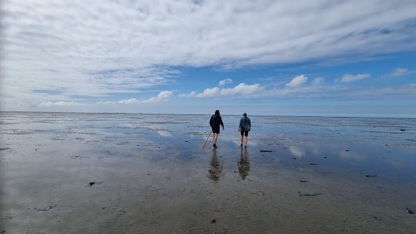 Uitzicht over het wad